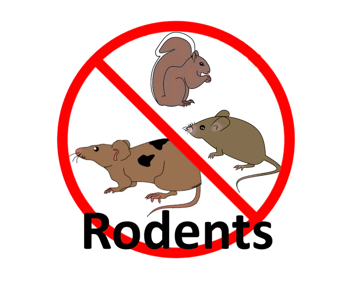 Industrial rat mouse mice rodent repeller