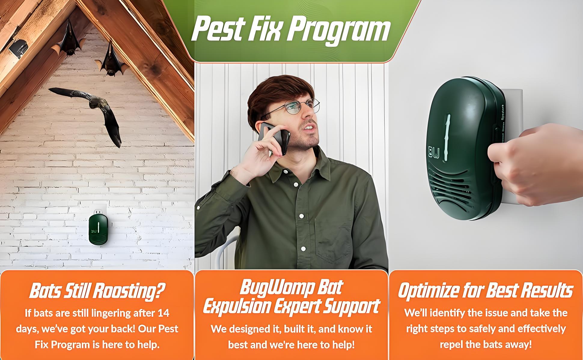 BugWomp-Bat-Expulsion-Pest-Fix-Program