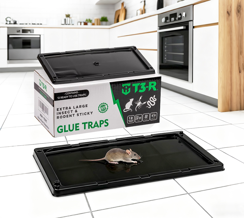 Sticky Traps 12 Pack