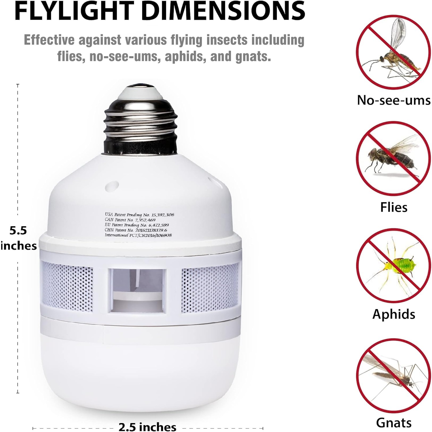 FlyLight Dimensions