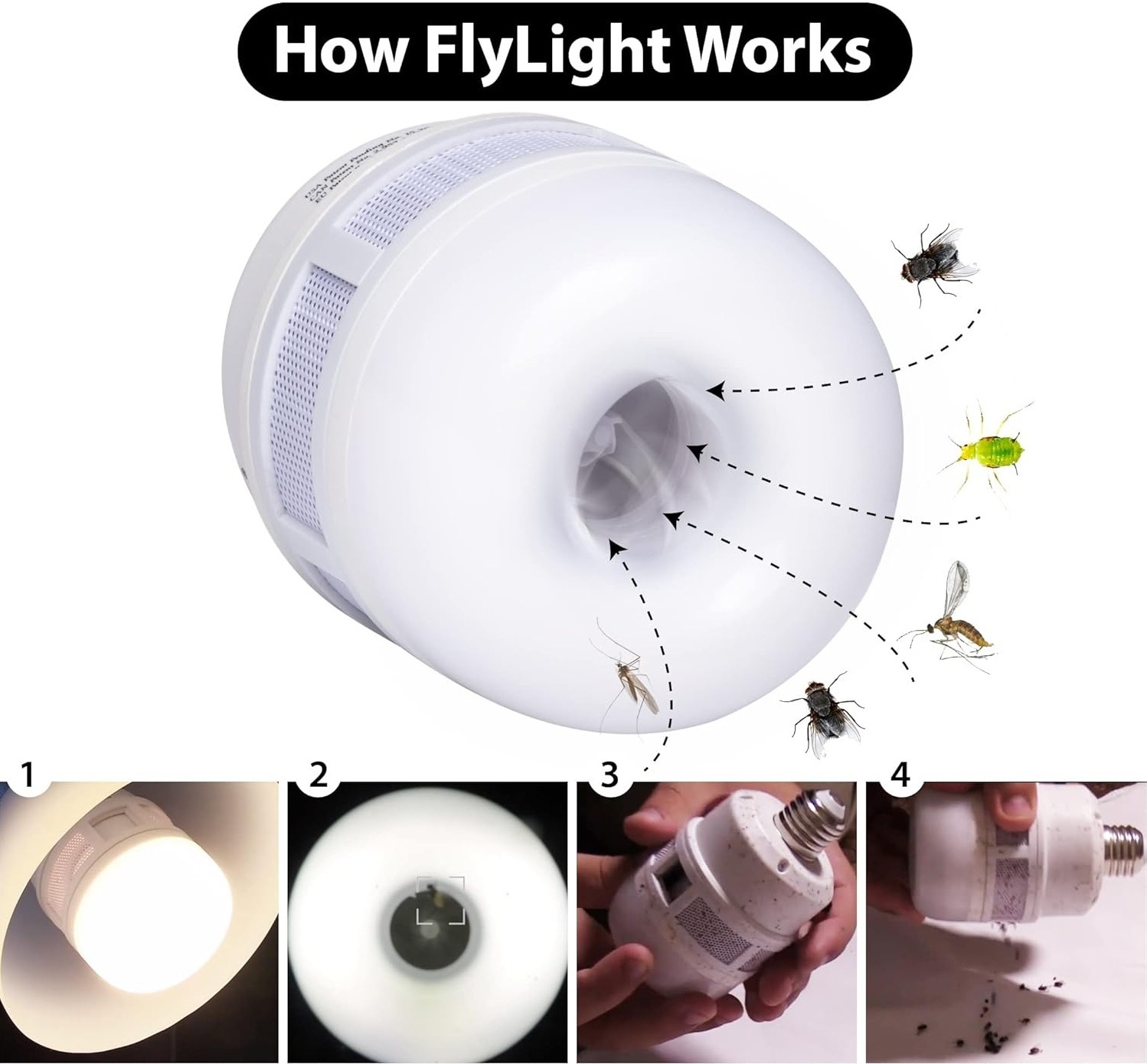 How FlyLight Works