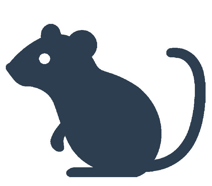 Mouse Icon