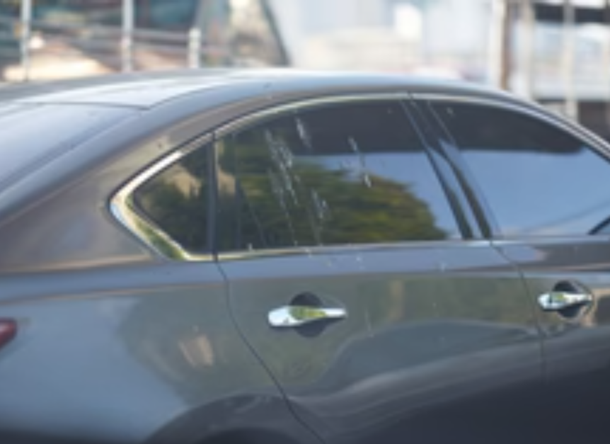 Birds in garage or barn